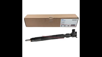 Original New Diesel Common Rail Fuel Injector 28229873 33800-4A710 338004A710 For Hyundai KIA