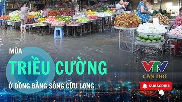 BIẾN ĐỔI KHÍ HẬU - MÙA TRIỀU CƯỜNG Ở ĐỒNG BẰNG SÔNG CỮU LONG | VTV CẦN THƠ