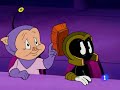 Por que es un problema para ti duck dodgers