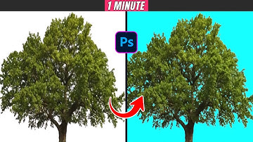 How to remove background from Tree photo with photoshop 2025