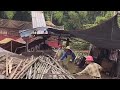 Hard Working Men Using Hooks To Drag Heavy Bamboo Onto Conveyor Loading Huge Trucks Non Stop