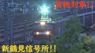 2019/05/19 [貨物列車] 早朝の新鶴見信号所‼︎ 4時半ばから6時半ばまでの鐵路‼︎