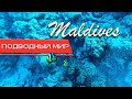 МАЛЬДИВЫ - ИНДИЙСКИЙ ОКЕАН 4К. Инструкция по отдыху в раю. / MALDIVES - INIDAN OCEAN 4K. Vlog part 7