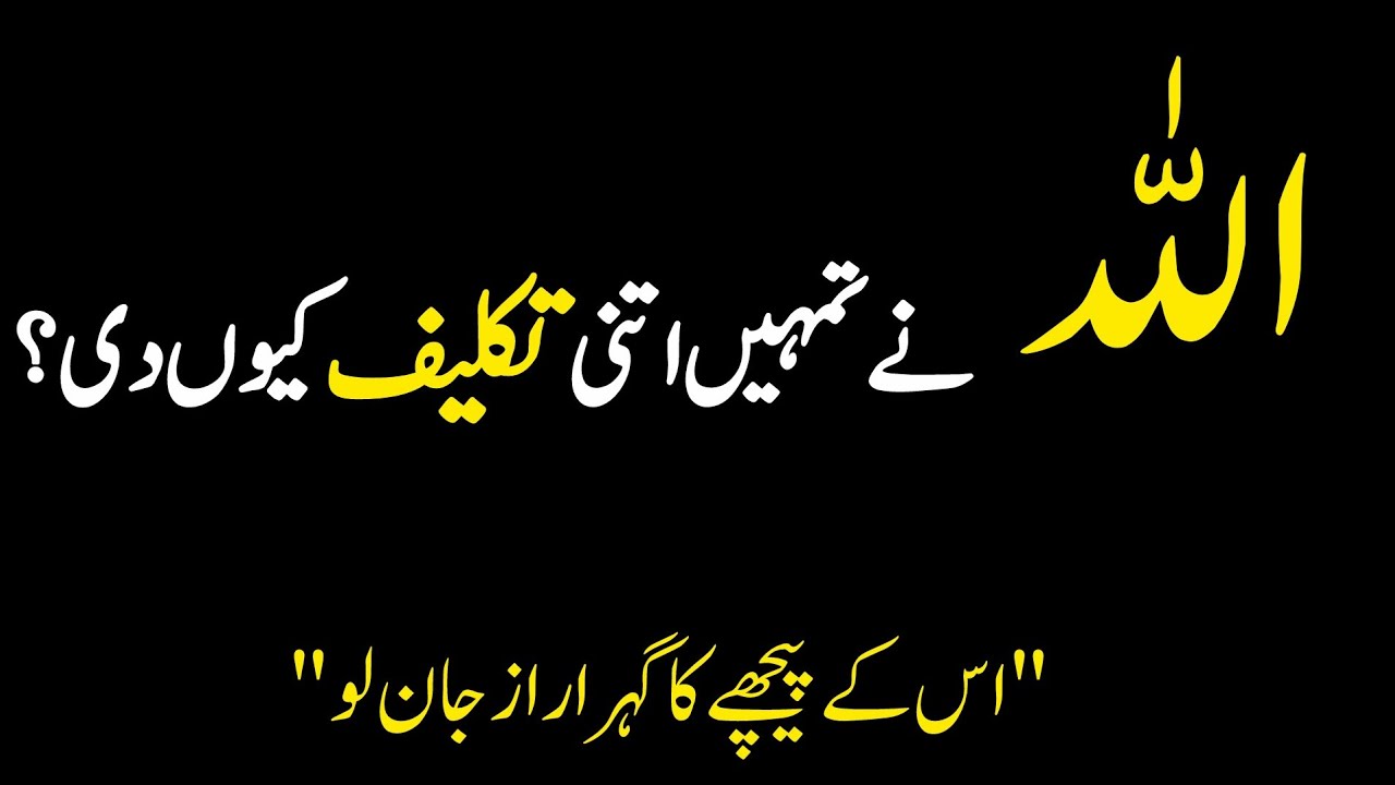 Kabhi Socha Hai...Allah Ne Tumhe Itni Takleef Kyu Di ? Islamic Motivational quotes 