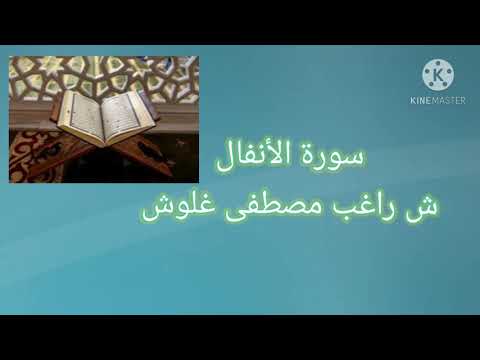 تلاوة مباركة من سورة الأنفال للقارئ المرحوم الشيخ راغب مصطفى غلوش 