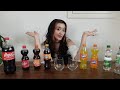 GÜNSTIG vs. MARKE || Coca Cola Challenge mit meinem Freund || Selinodino