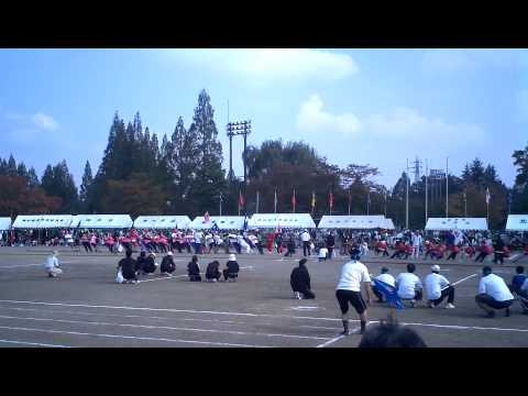 2011年　伊奈町第41回町民運動会　綱引き予選　小針内宿チーム区の圧勝
