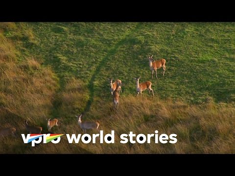 The Netherlands from above - E5/10 - Untamed nature in the Netherlands