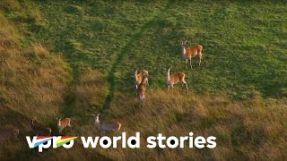 The Netherlands from above - E6/10 - Water, friend or enemy