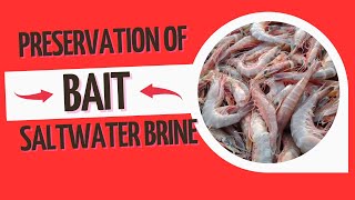Fishing hack that will Forever CHANGE the money you spend Surf Fishing. How To Make Saltwater Brine.