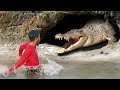 Crocodile Attacks on Humans | crocodile attacks on humans stories