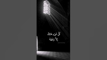كُلُّ شَيْءٍ هَالِكٌ إِلاَّ وَجْهَهُ | سورة القصص بندر بليلة #القرآن_الكريم #سورة_القصص