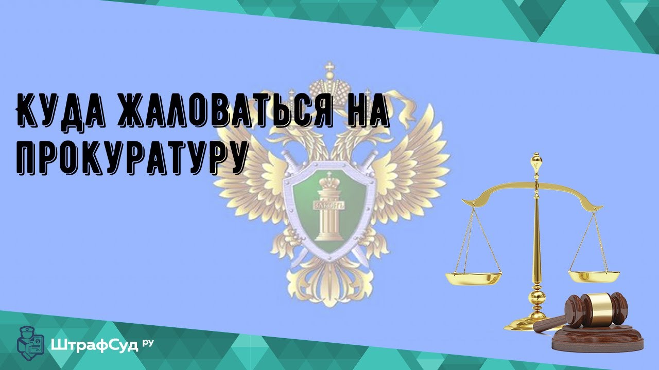 Председатель снт нива Председатель снт нива