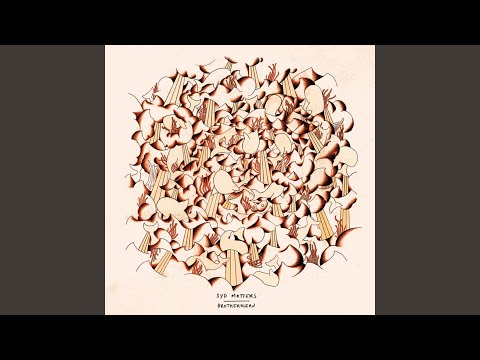 I Might Float - Syd Matters