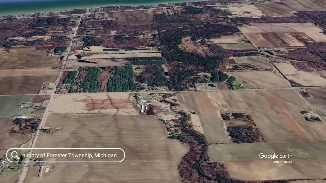 История поселка Форестер, штат Мичиган.