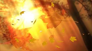 Enjoy this flowers screensaver screenshot 1