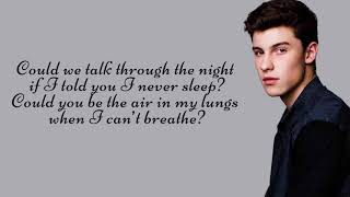 Shawn Mendes - Love Me Or Leave Me (Lyric Video)