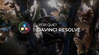 Davinci Resolve | ¿Qué es Davinci Resolve? ¿Para que sirve?