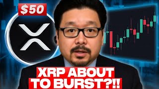 URGENT NEWS! MEGA WHALES BUYING UP XRP!!! XRP IS ABOUT TO BURST !