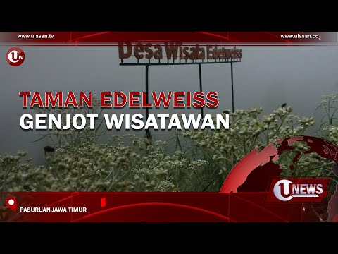 TAMAN EDELWEISS GENJOT WISATAWAN  | U-NEWS