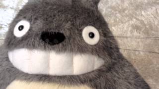 TOTORO PLUSH  11" - Studio Ghibli - Review ( My Neighbor Totoro )