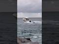 ROUGH @Boatsmiami #haulover #boating #hauloverinlet #462