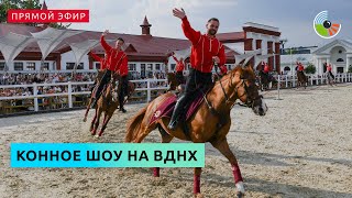 Шоу в Центре национальных конных традиций на ВДНХ