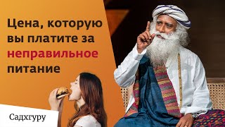 Никогда не ложись спать сразу после еды