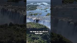 Discover Zambia's Beauty of Cities! #NatureKnowsBest #SavePollinators #SaveNature #SaveTrees