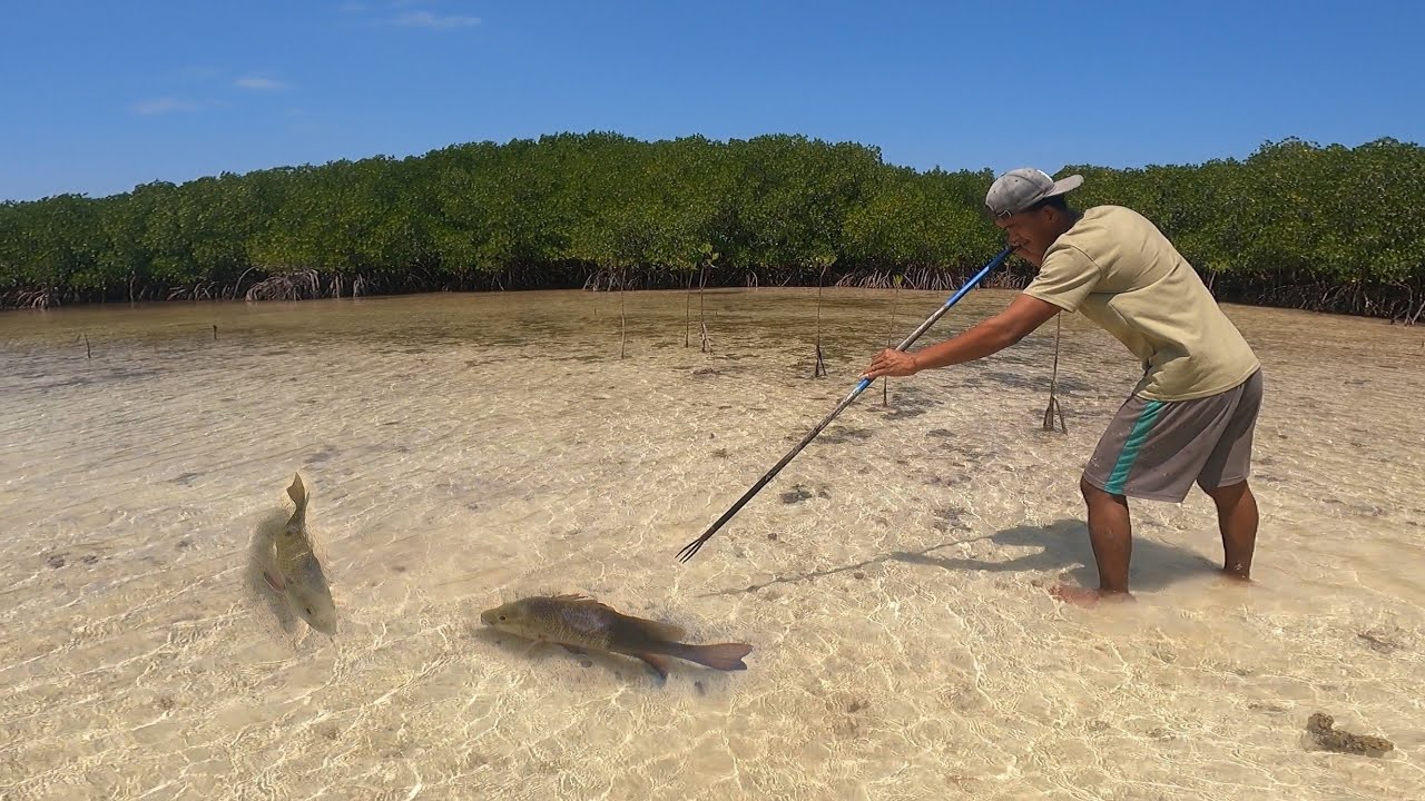 MENOMBAK IKAN SIANG DAN MALAM SERU BANGET HASILNYA MANTAP