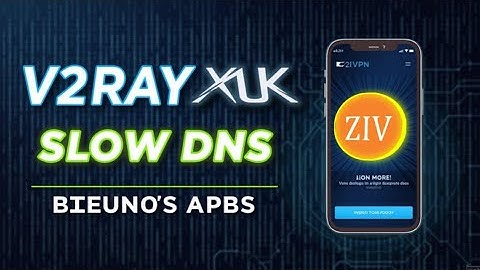 Setup V2Ray Slow DNS on ZiVPN VPN Website | Step-by-Step Guide