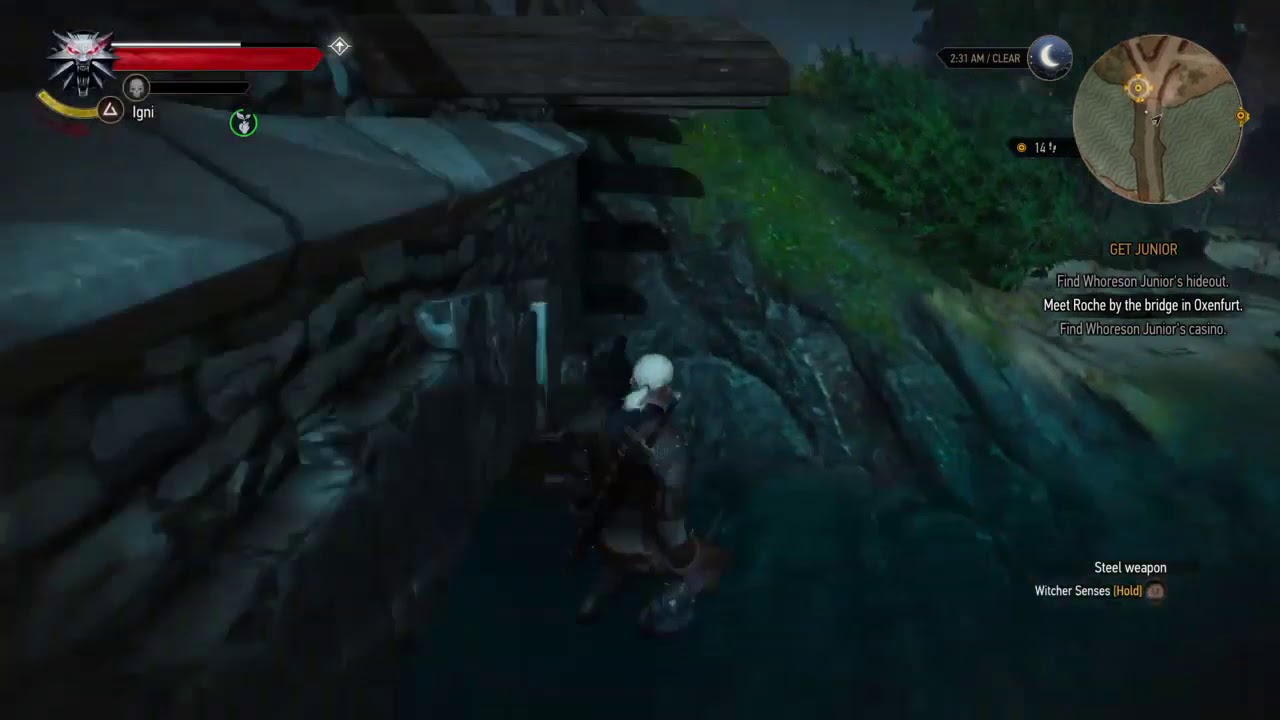 The Witcher 3  Wild Hunt Roach Fail