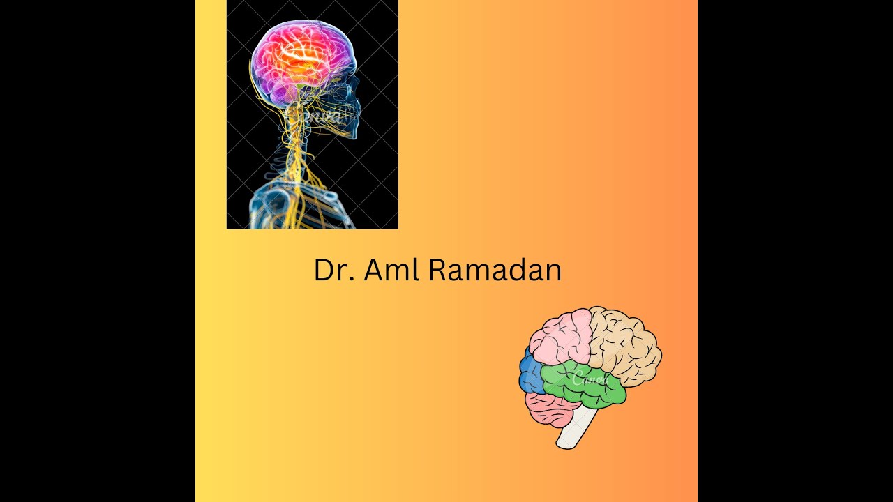 Cerebrum &Sensory cortex