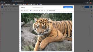 Google Docs Uitleg