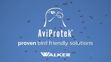 AviProtek® glass: a proven bird-friendly solution
