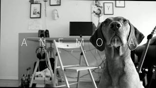 krnl - Anemoia