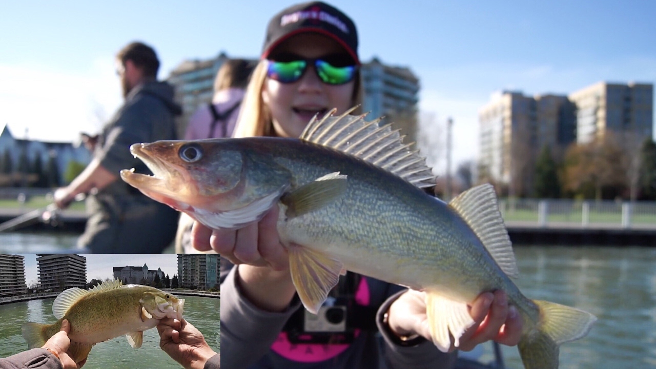Walleye Fishing & STURGEON ON!! (Detroit River) - YouTube
