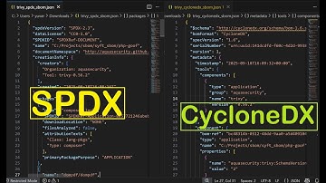 SBOM Trivy Output Files Explained | Real SPDX & CycloneDX JSON Samples from Trivy Scans