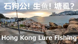 香港ルアー釣り、カサゴと雷魚, Hong Kong Lure Fishing, Rock Fish, Catfish, Snakehead (Audio prod. Clinstrumentals)