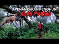 Misteri   penghuni hutan alas purwo  penelusuran 