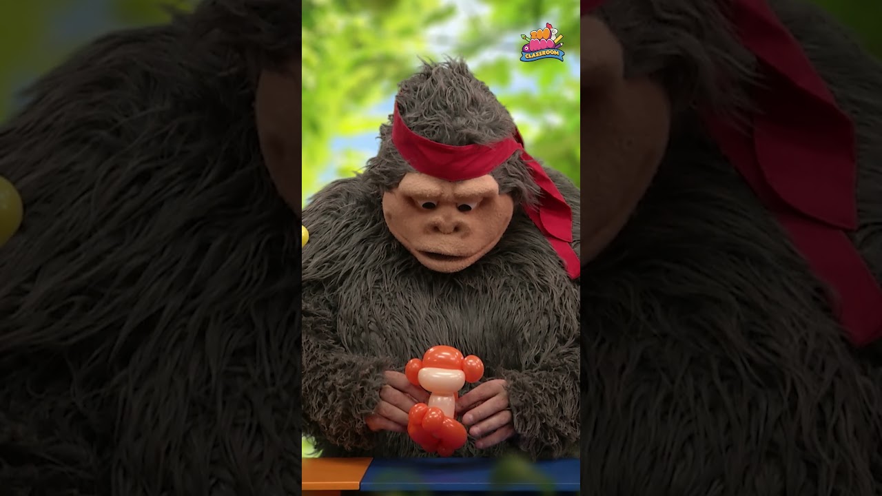 Almost done crafting this cool orangutan balloon! ✨🐒 ‪@ZooMoo