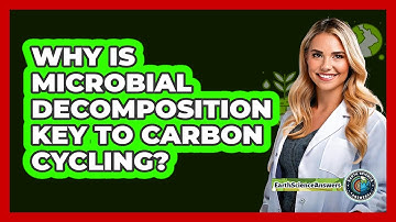 Why Is Microbial Decomposition Key To Carbon Cycling?
