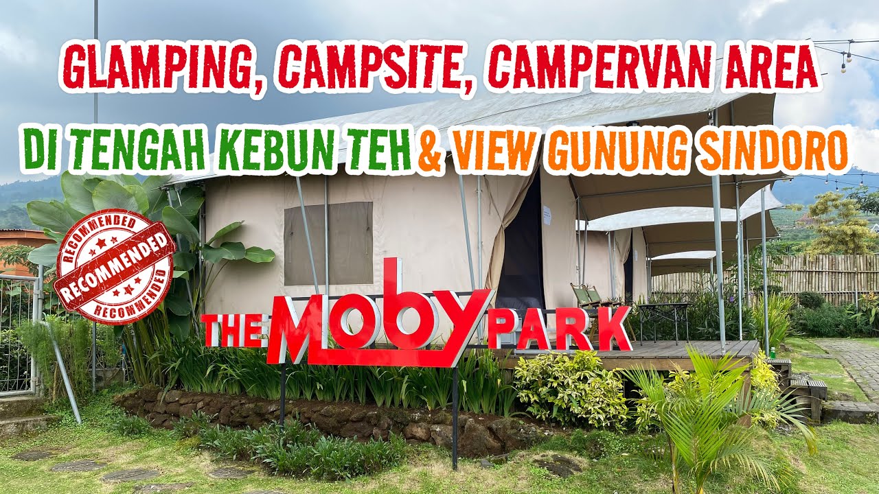 GLAMPING, CAMPING & CAMPERVAN AREA DI TENGAH KEBUN TEH WONOSOBO | THE MOBY PARK