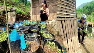 The young man secretly brought many kinds of flowers to give to his single mother