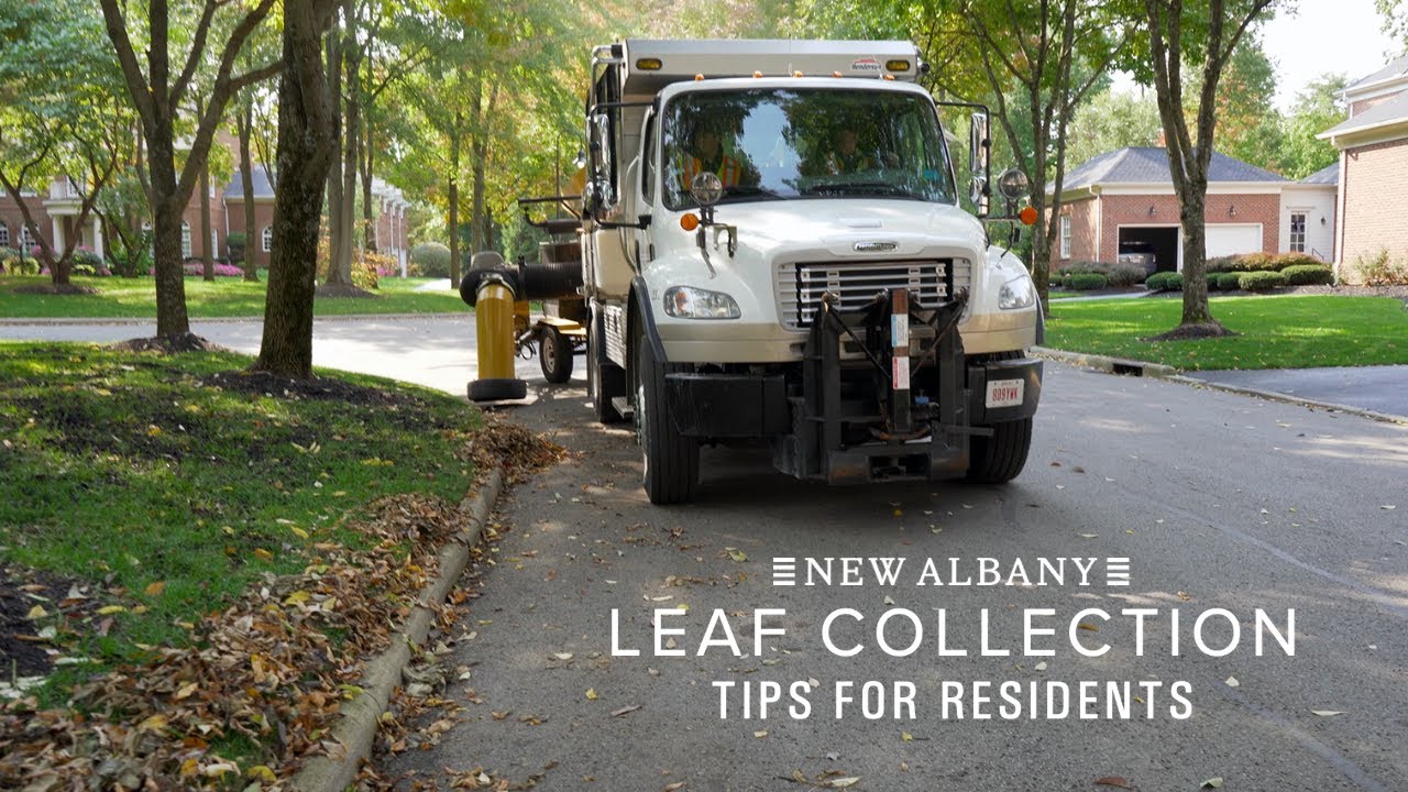 Each year, New Albany crews collect more than 700,000 pounds of leaves from our neighborhoods, and we rely on our residents to help make this a smooth process. Learn the proper ways to rake your leaves for efficient leaf collection service in this short video. 

You can also learn more about our leaf collection program by heading here: https://newalbanyohio.org/public-service/leaf-collection/
