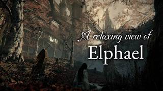 Elden Ring - Elphael | Graveyard Beneath Crimson Leaves Ambience & Music (1H40M)