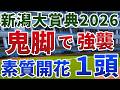 新潟大賞典2026 追い切り後【買いの1頭】公開!前走好走した馬が少ない難解な組み合わせ!ここで狙っておきたい新潟向きの素質馬は?