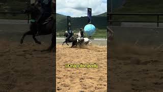 Vaquejada é bom demais #vaquejada #vaqueiro #circuitobyd #cavalo