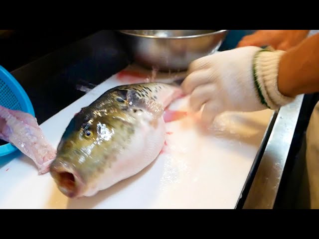 Japanese craftsman's blowfish dishes! Fugu restaurant in Japan
