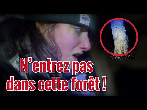 Vidéo: Puis-je camper dans une forêt ?